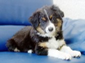Amy at about 3 months Amy at about 3 months