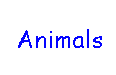 Animals