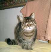 Lisa, died September 2010, aged 23